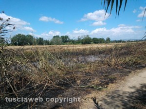 I campi andati a fuoco