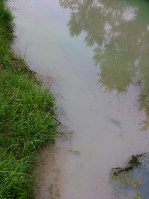 Le scie oleose sul Torrente Rivarcale