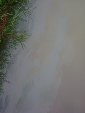 Le scie oleose sul Torrente Rivarcale