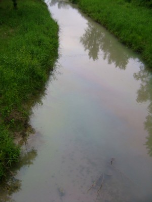 Le scie oleose sul Torrente Rivarcale