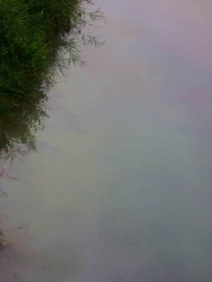 Le scie oleose sul Torrente Rivarcale