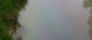 Le scie oleose sul Torrente Rivarcale