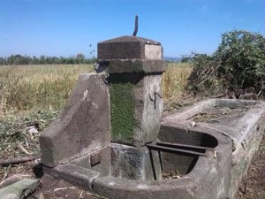 Madonna della spiga prima della pulizia
