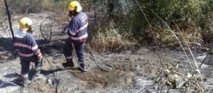 Campagna antincendio