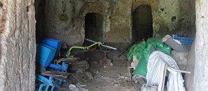 Le necropoli di Grotte di Castro nell'abbandono