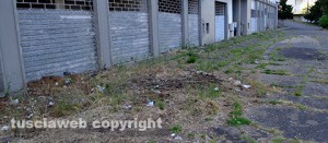 La zona abbandonata di Capranica in via Dalla Chiesa