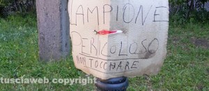 Il lampione pericolante ai giardini di porta della Verità