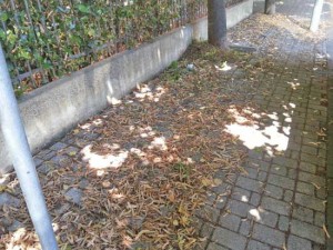 Il marciapiede di via Tarconte