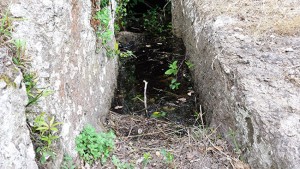 Viterbo - Castel d'Asso nel degrado