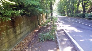 Marciapiede impraticabile in viale Fiume