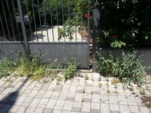 Il marciapiede di via Tarconte 