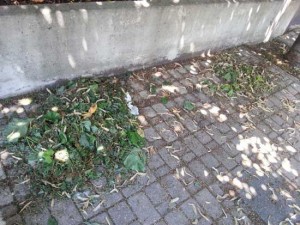 Il marciapiede di via Tarconte 