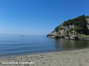 Ansedonia