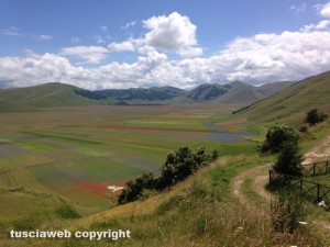 Castelluccio di Norcia