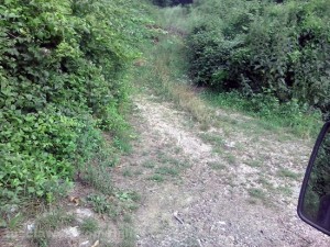 Il fontanile di Fiescoli dopo