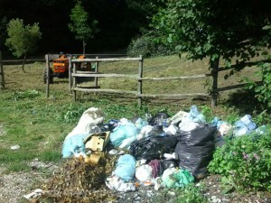 Il fontanile di Fiescoli prima
