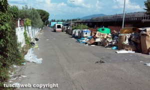 Rifiuti su strada Cassia Nord
