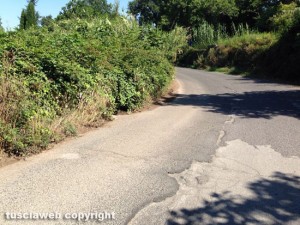 Ex strada sammartinese - Viterbo