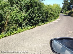 Ex strada sammartinese - Viterbo