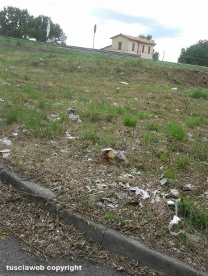 Immondizia a Belcolle