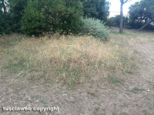 I giardinetti di Montalto Marina