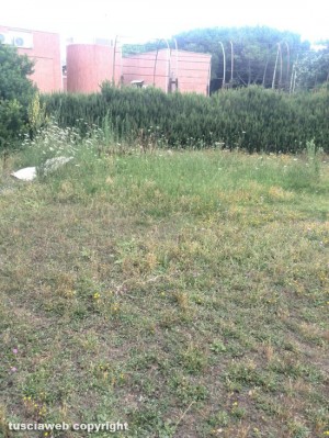 I giardinetti di Montalto Marina