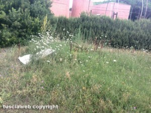 I giardinetti di Montalto Marina