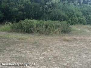 I giardinetti di Montalto Marina