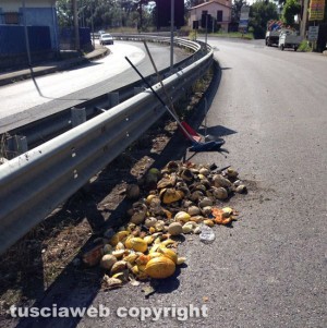 Perdita di carico di frutta sulla Tuscanese