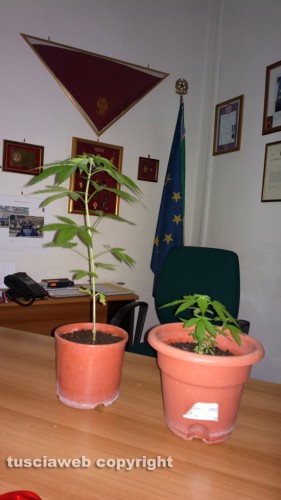 Viterbo - Il materiale sequestrato dalla polstrada