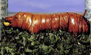 La porchetta