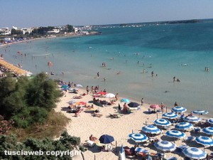 Porto Cesareo - Puglia