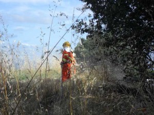 L'Asvom in azione