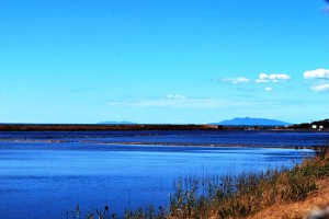 Saline di Tarquinia