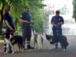 Unità cinofile della Protezione civile