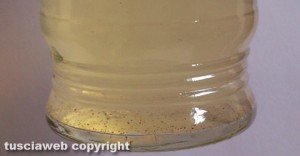 L'acqua gialla uscita dal rubinetto