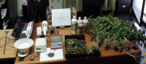 La droga sequestrata dai carabinieri