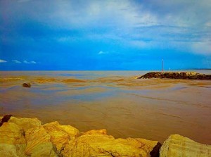 Un'immagine del Fiora - Foto di Giordano Nicoletti