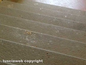 Le cacche di piccione a palazzo dei Priori