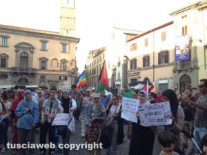 La manifestazione per la Palestina a piazza del Comune