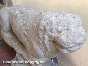Le cacche di piccione a palazzo dei Priori