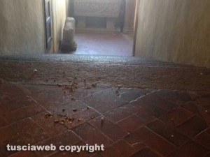 Le cacche di piccione a palazzo dei Priori