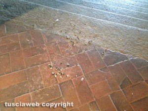 Le cacche di piccione a palazzo dei PrioriLe cacche di piccione a palazzo dei Priori