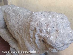 Le cacche di piccione a palazzo dei Priori
