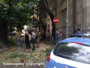 Alberi in via Lorenzo da Viterbo, la protesta dei cittadini