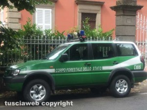Gli accertamenti della forestale