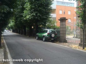 Gli accertamenti della forestale