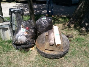 Giornata ecologica a Montefiascone