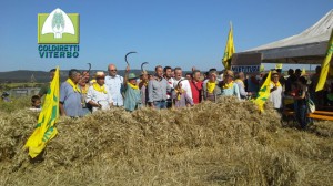 La rievocazione della mietitura a Blera