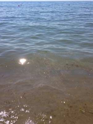 La scia marrone comparsa in acqua